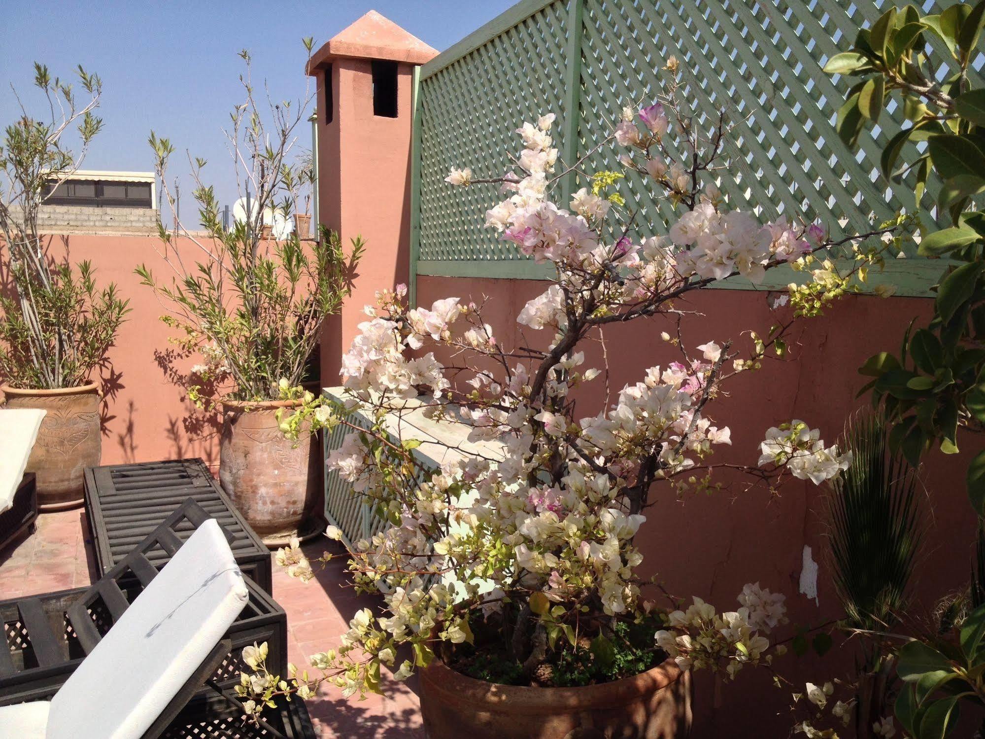 Riad Mariana Маракеш Екстериор снимка